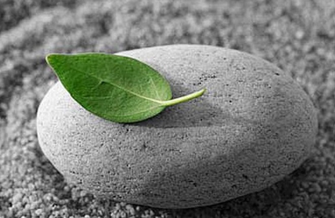 Hồng Ân Kim Khánh (Nghĩa Ca) - Hoàng Oanh - Thanh Hòa