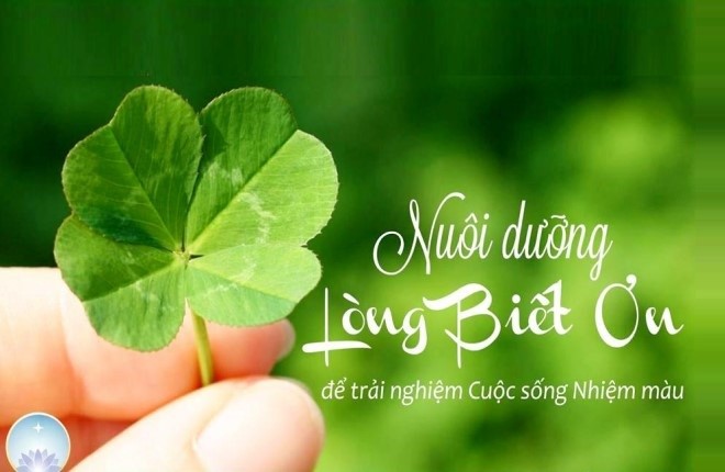 Nối Vòng Tay Yêu Thương (Nghĩa Ca) - Hoàng Oanh - Thanh Hòa